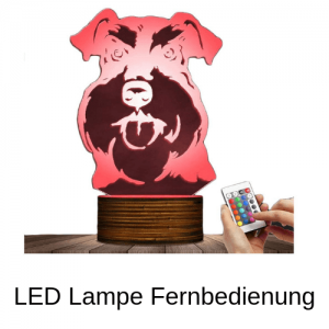 LED Lampe Fernbedienung